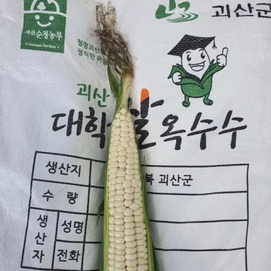 괴산 대학찰 옥수수 30개 (껍질제거 생옥수수)