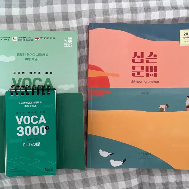 심슨 문법&voca3000