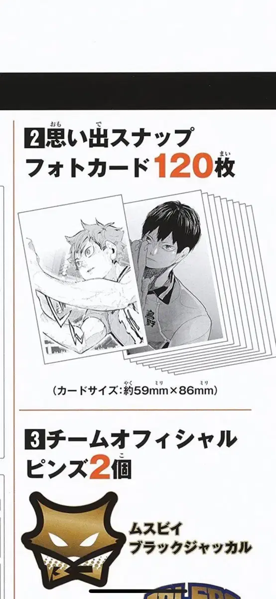 (급전)Haikyuu 10th Anniversary Chronicle Photo Card photocard 120장 전종 팔아요