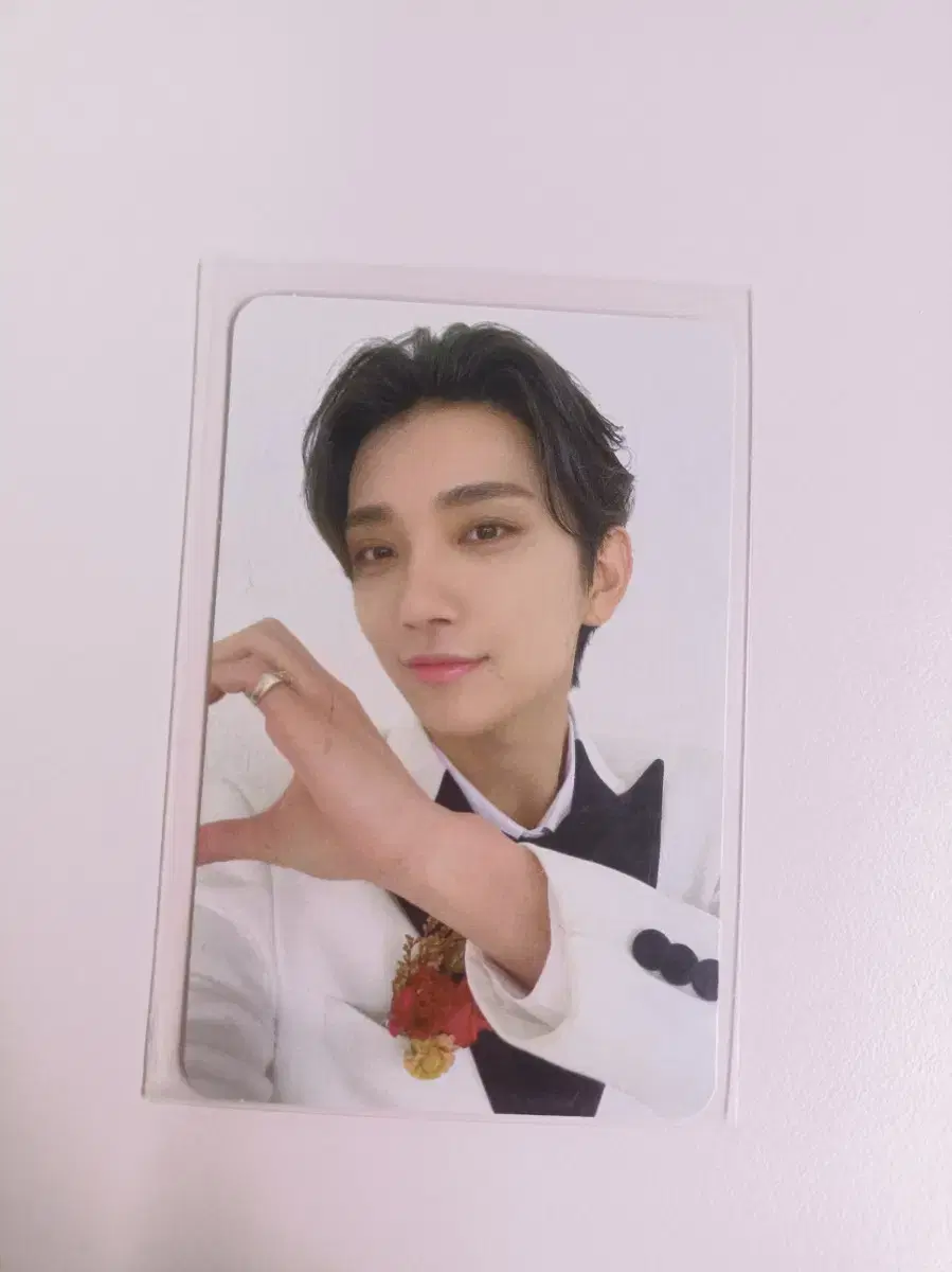 Seventeen joshua FML Caratbahn