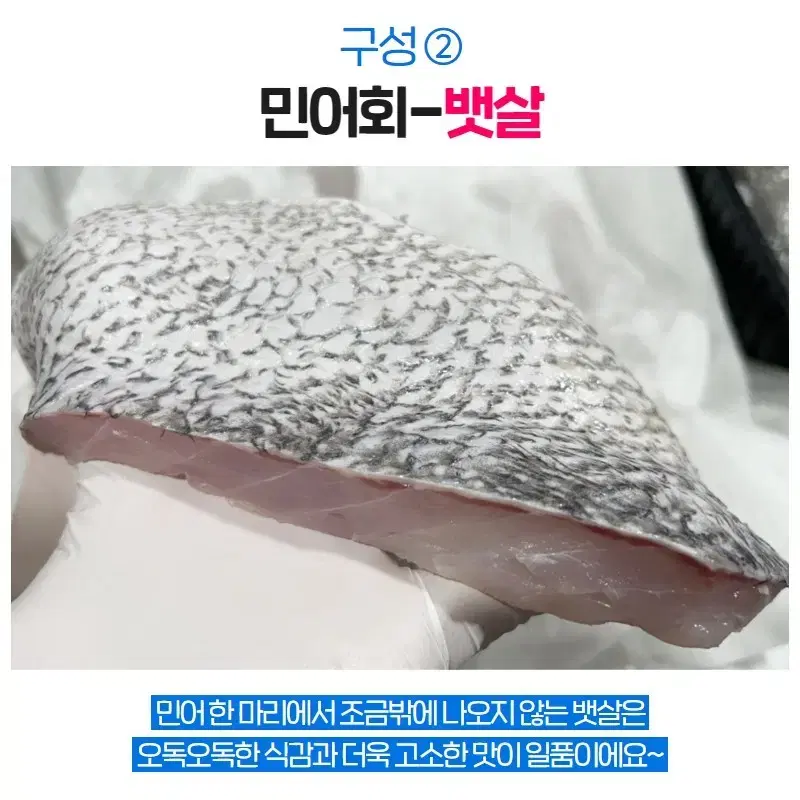 자연산민어회필렛