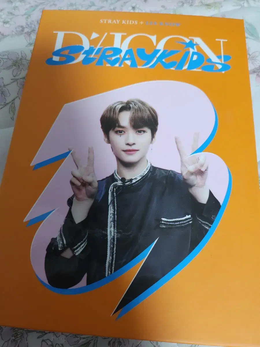 Straykids Deikon Depesta Mini Edition Binder