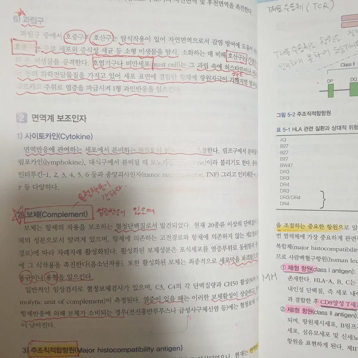 수정증보 알기쉬운 병리학 고문사