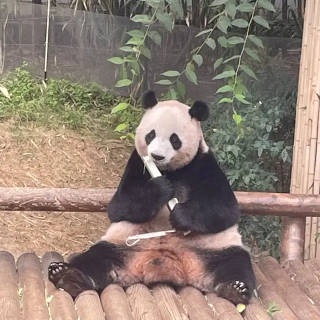 에버랜드 싸게 입장하세요^^