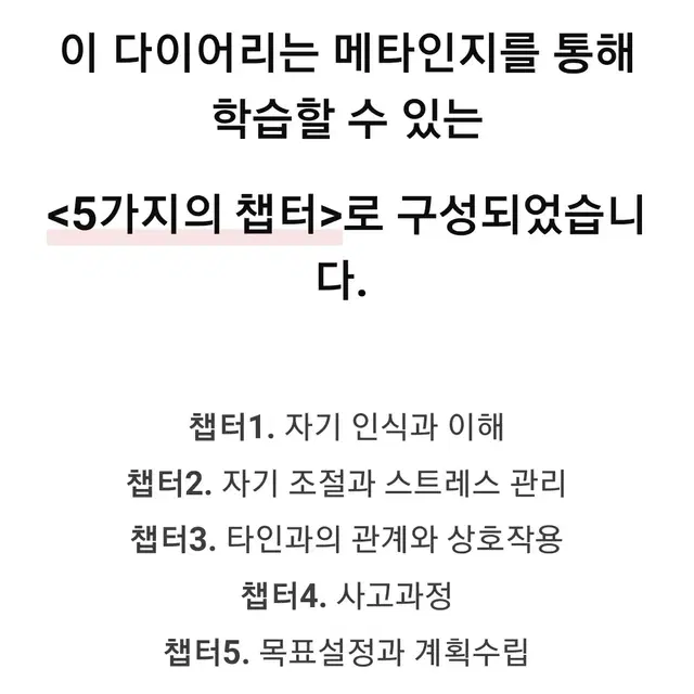 메타인지 다이어리 - 나를 정확히 파악하기