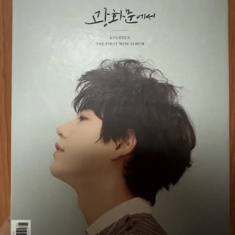 광화문에서 KYUHYUN