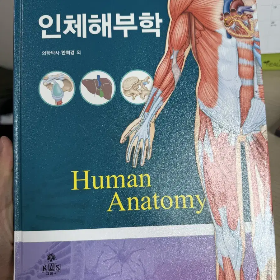 간호학 임상병리학 전공책, 교양책 판매