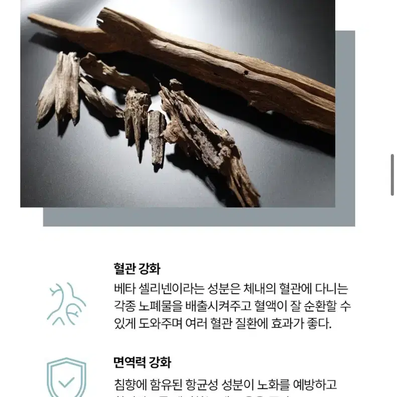 [새상품] 이모샤 글램 올인원 크림