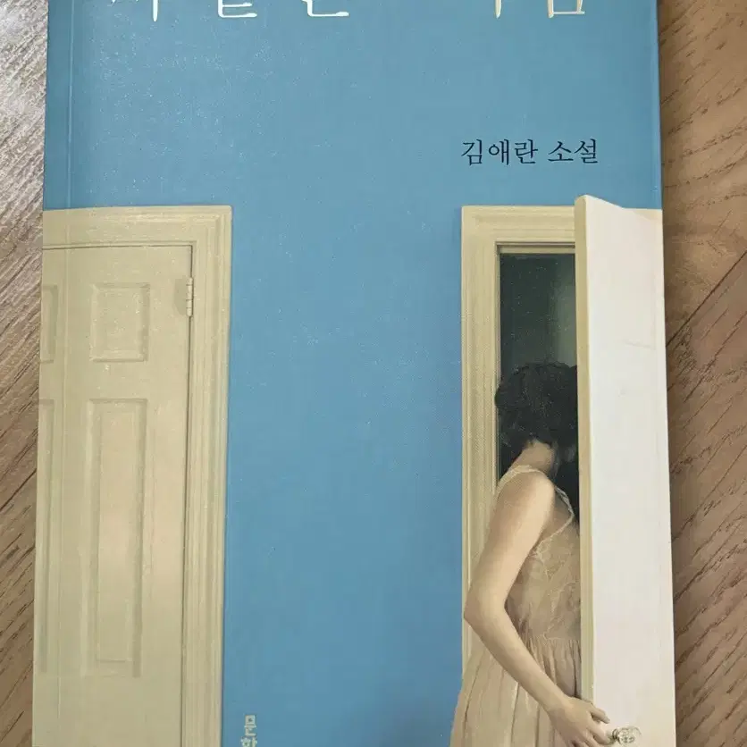 바깥은 여름 중고책 소설책