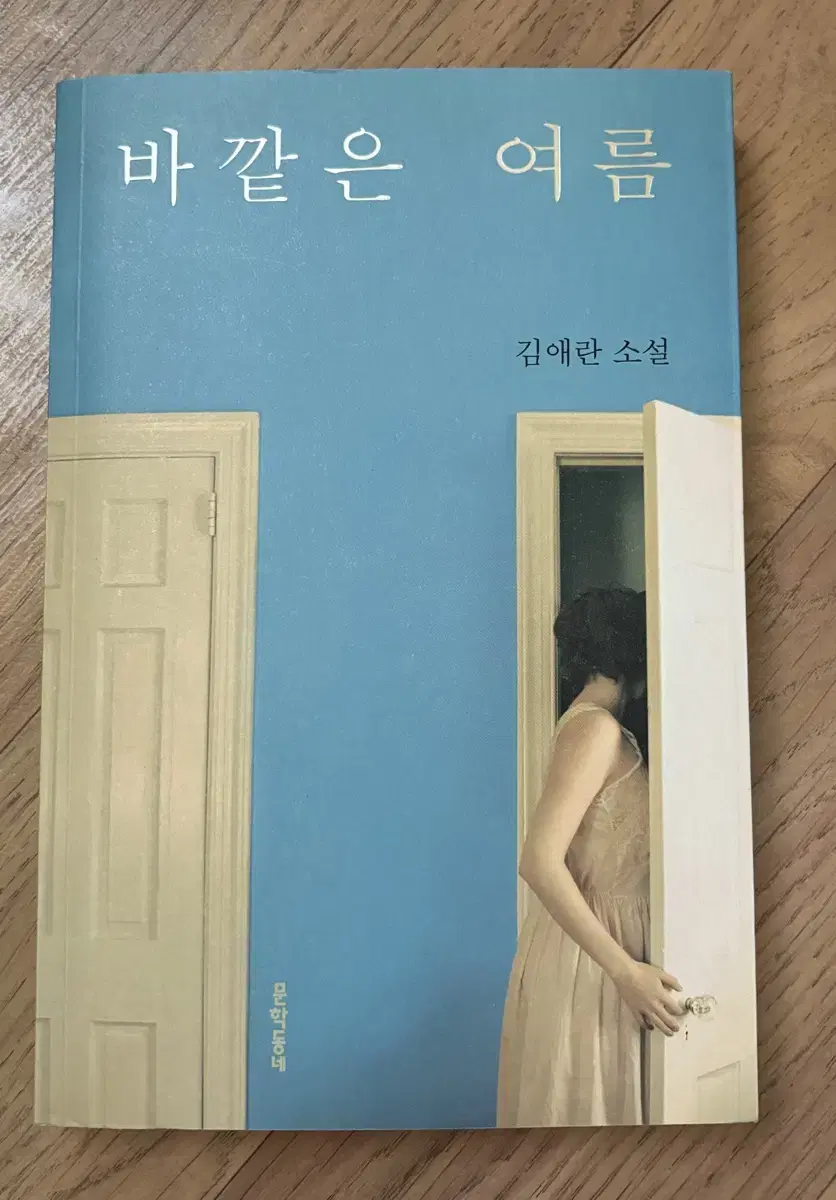 바깥은 여름 중고책 소설책