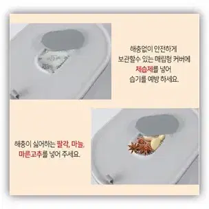 완벽 밀폐 원터치 쌀통 10kg(무료배송/새상품)