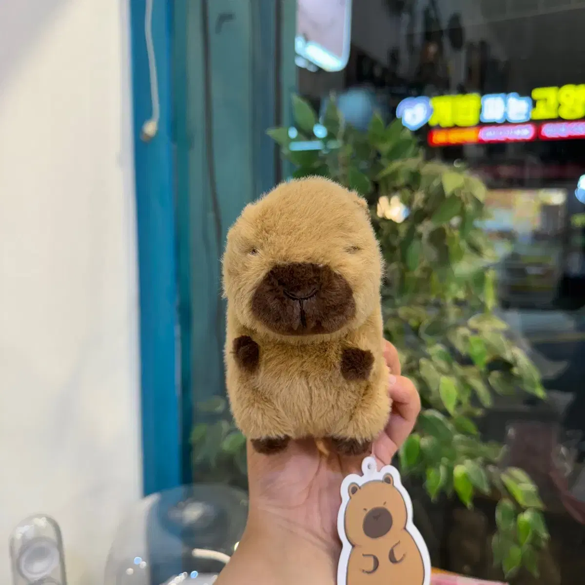 커피바라 인형키링(15cm)