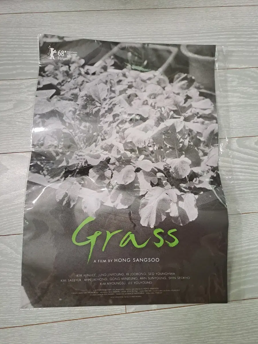 홍상수 감독 - 풀잎들(grass, 2018) 영화포스터