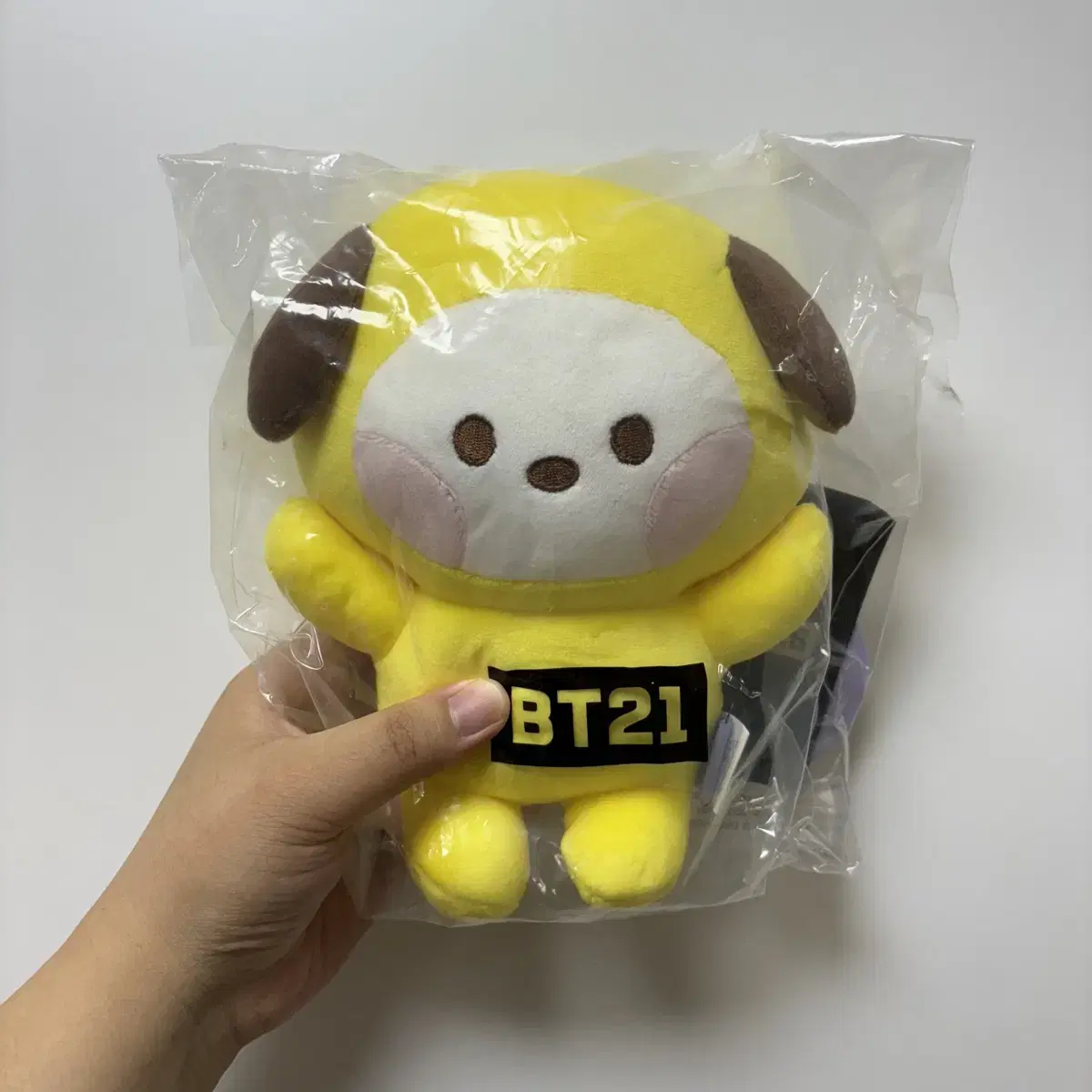 BT21 미니니 플랫쿠션 치미 판매합니다^~^