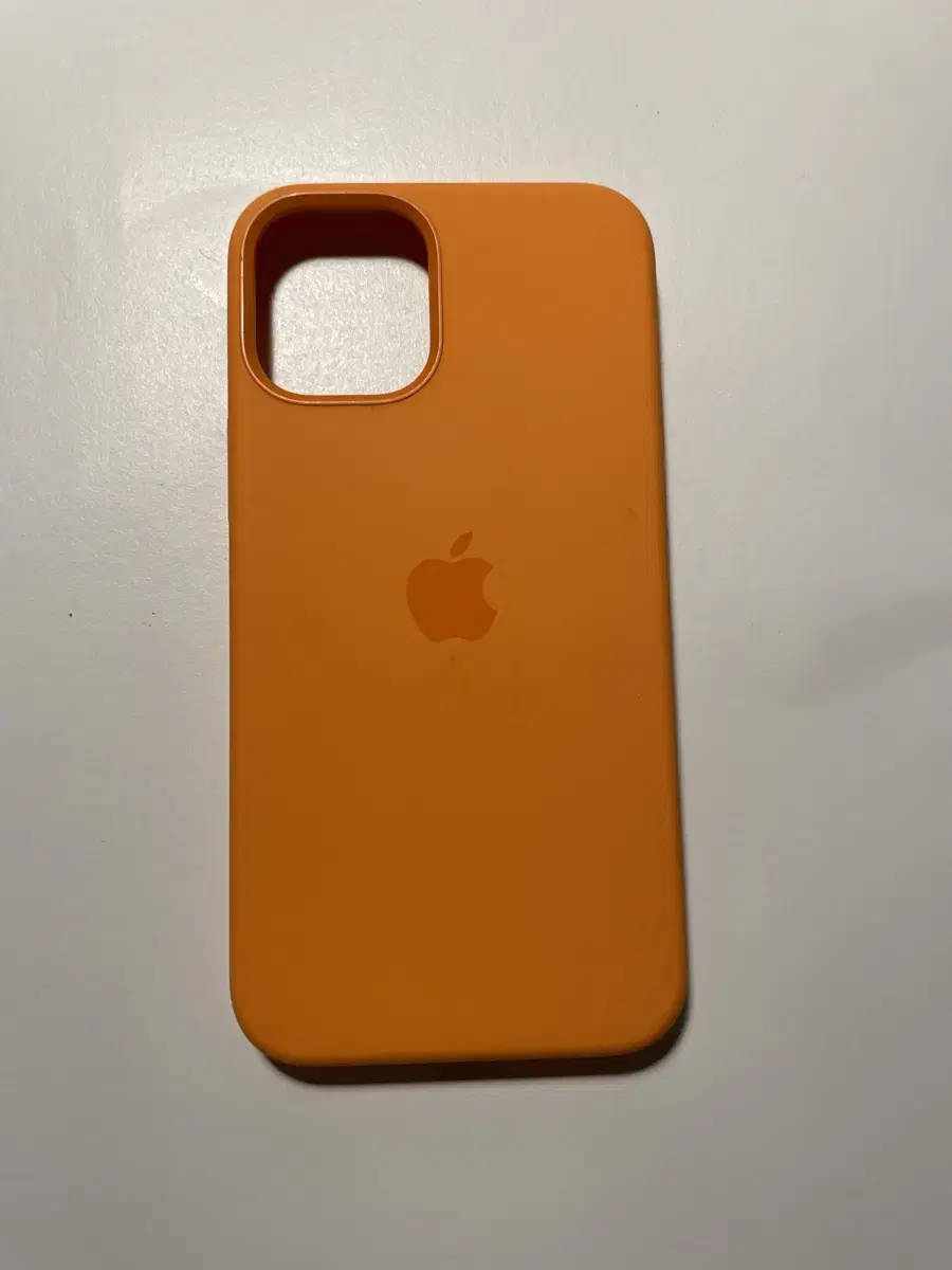 Genuine Maxsafe Silicone Case for iPhone 12 Mini (Combo)