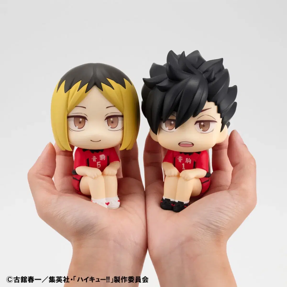 Including cushion pre-order benefit) haikyuu Kuroo uniform lookup buncheol!