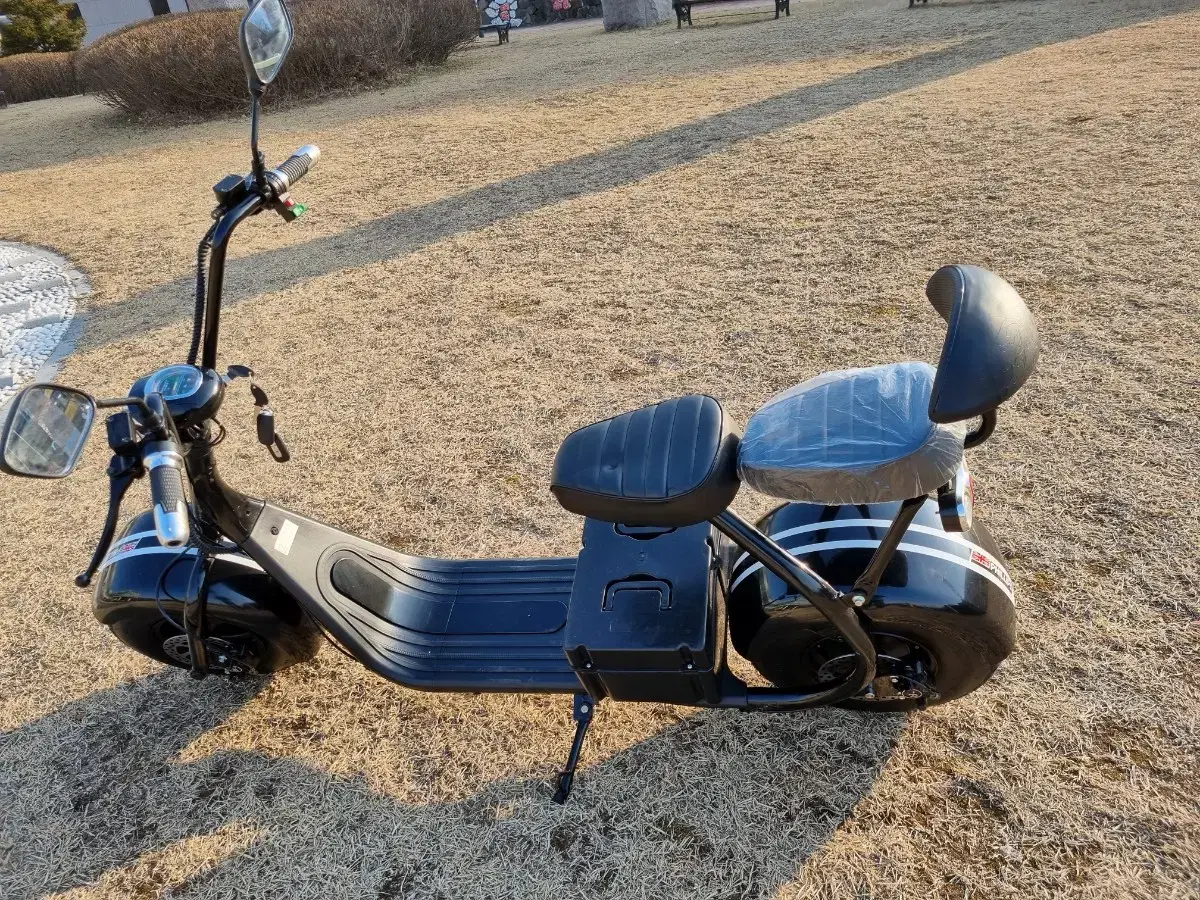 Philips Harley 60V Electric Scooter for 2 People