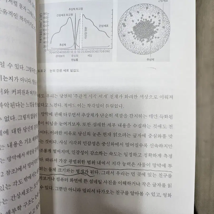 생각한다는 착각