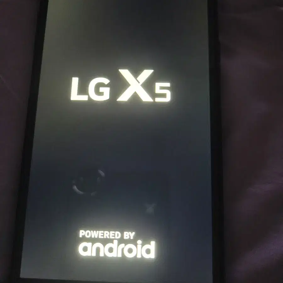 LGx5