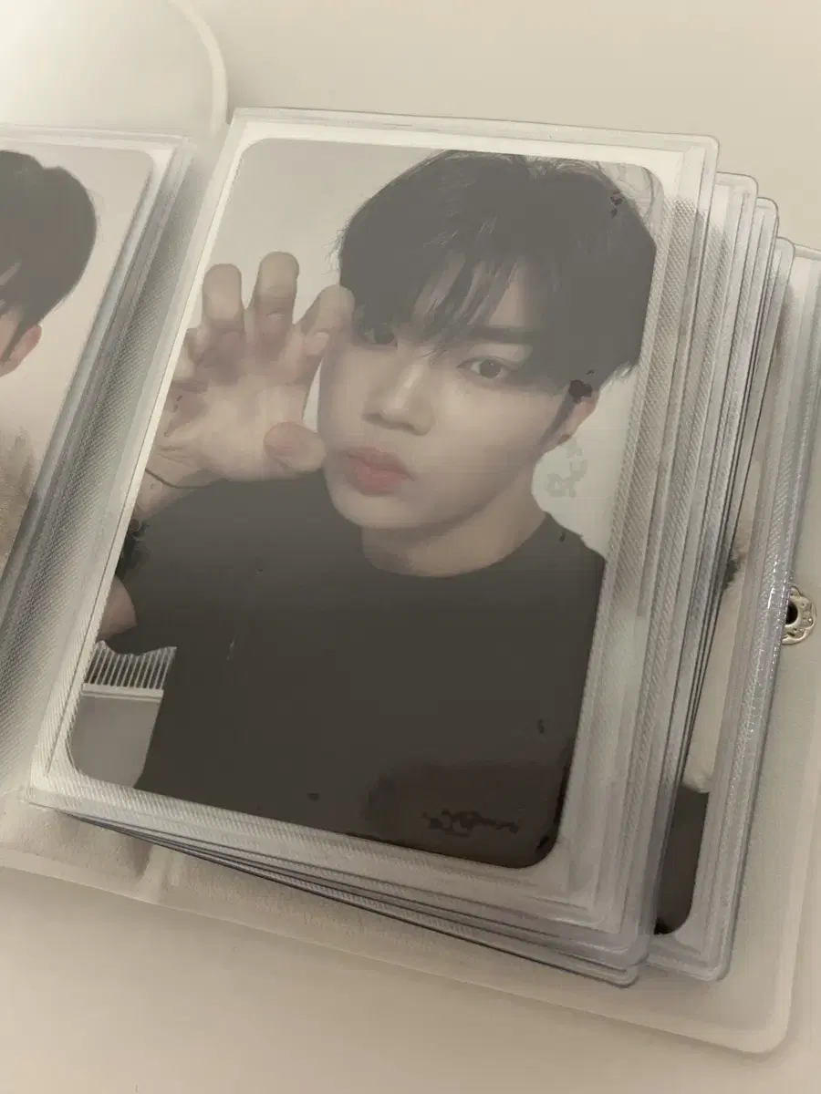 zb1 park gunwook catson photocard wts unreleased photocard