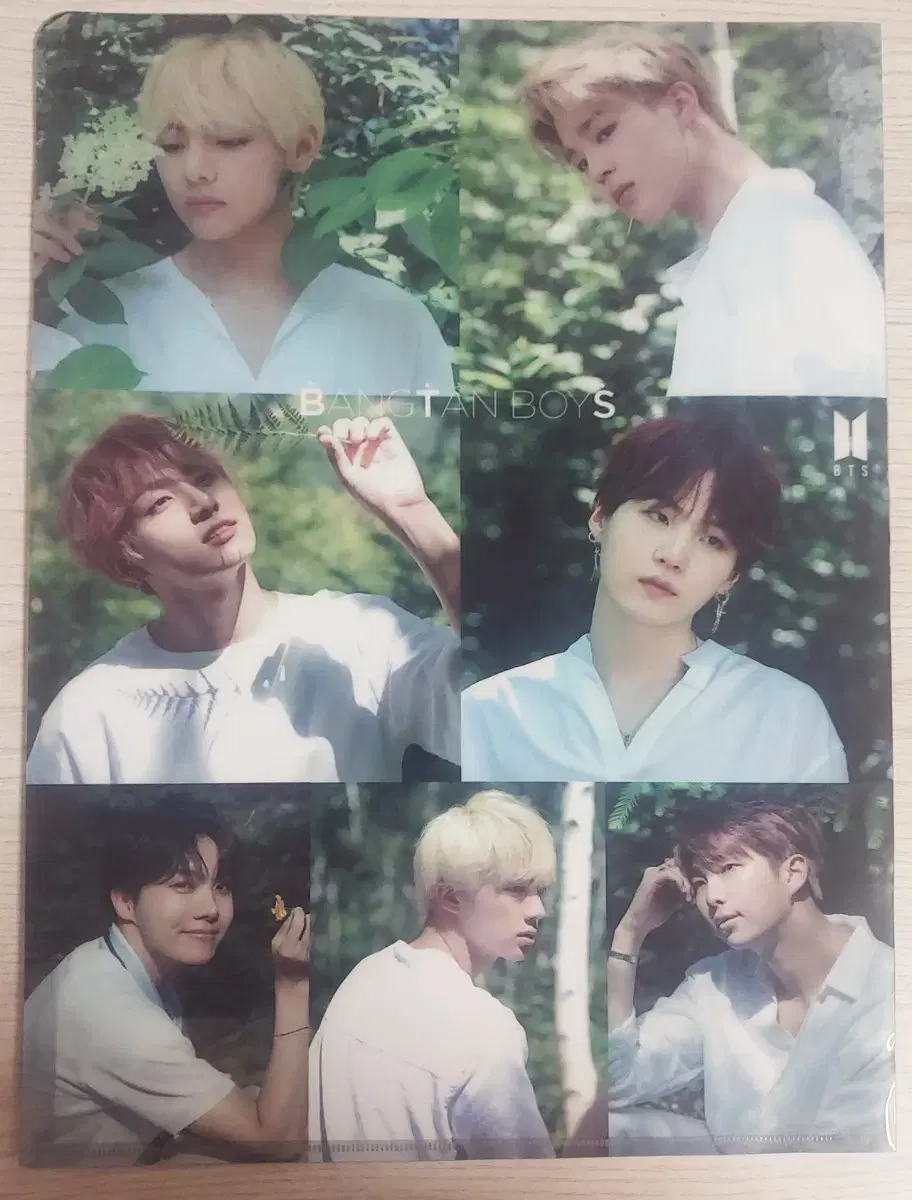 Bangtan L-files