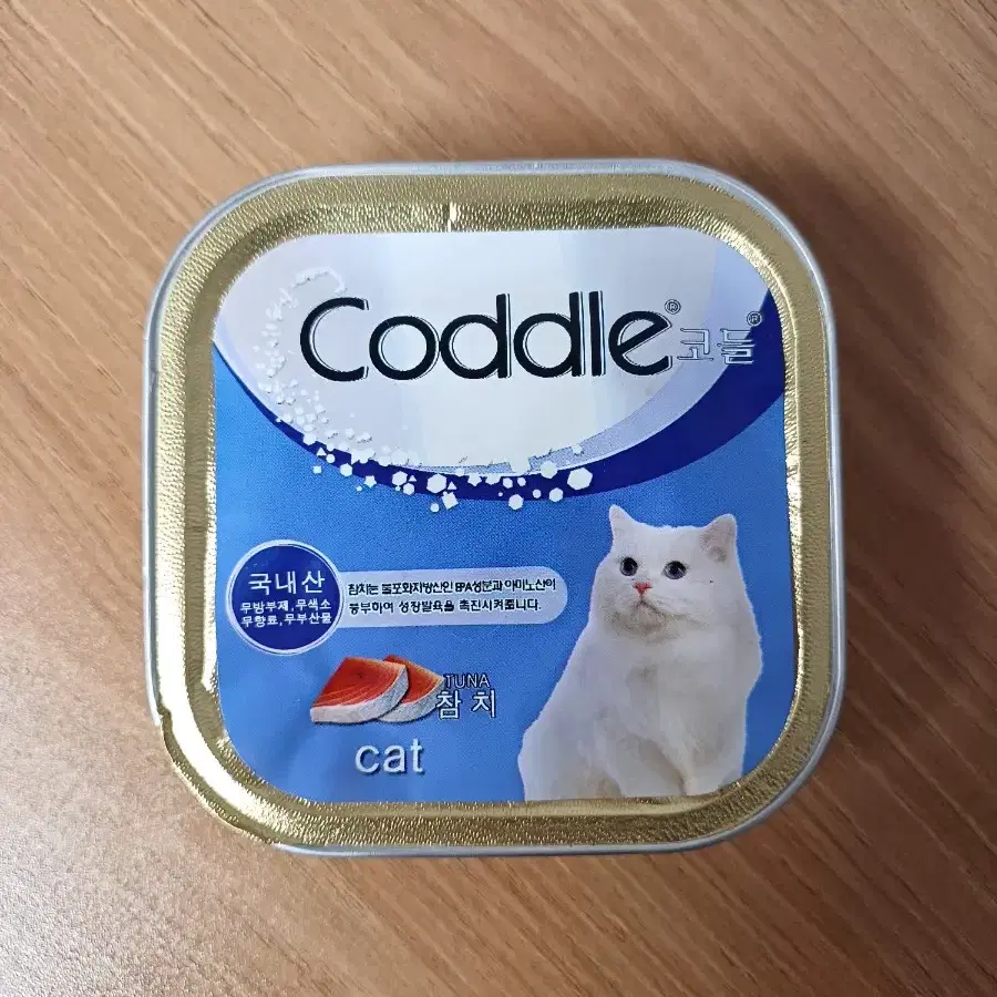 무스 타입 고양이 캔 코들 Coddle