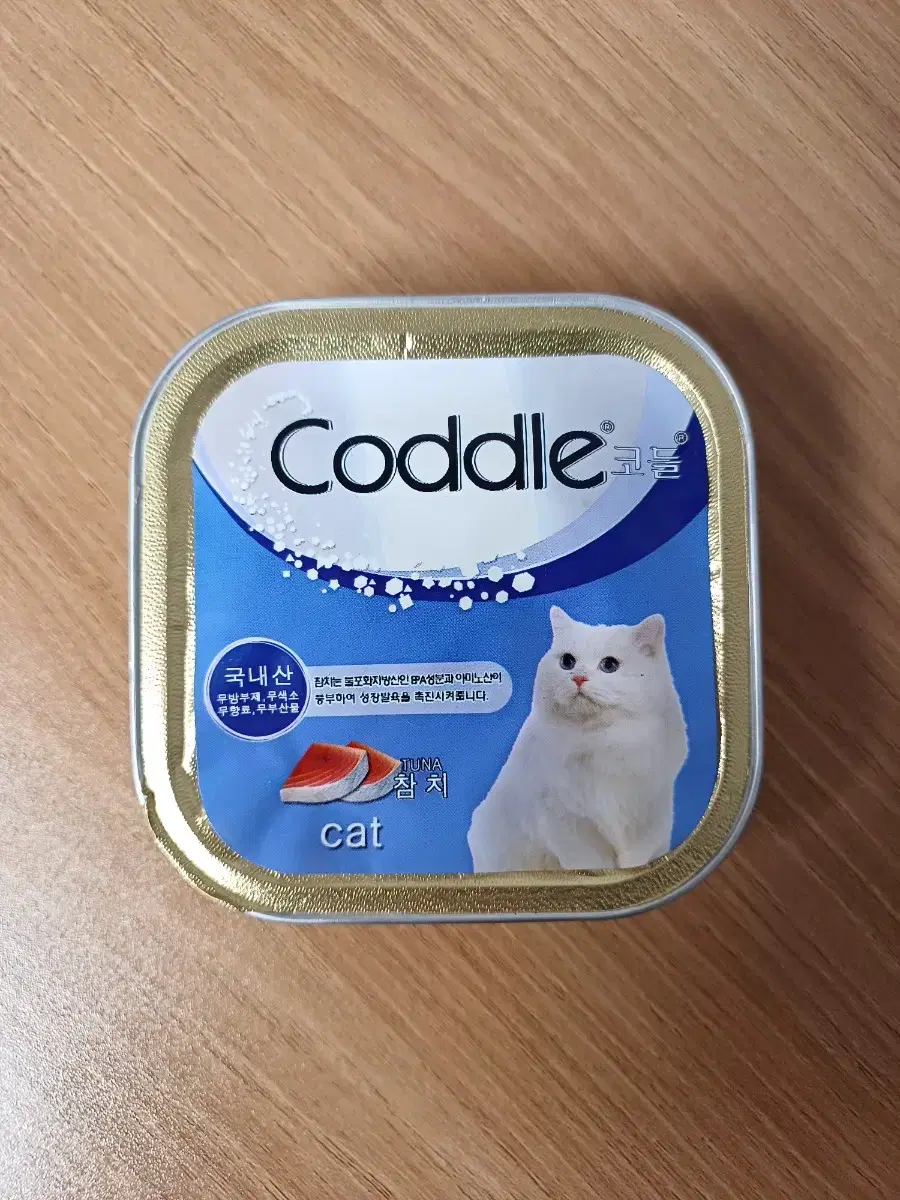 무스 타입 고양이 캔 코들 Coddle