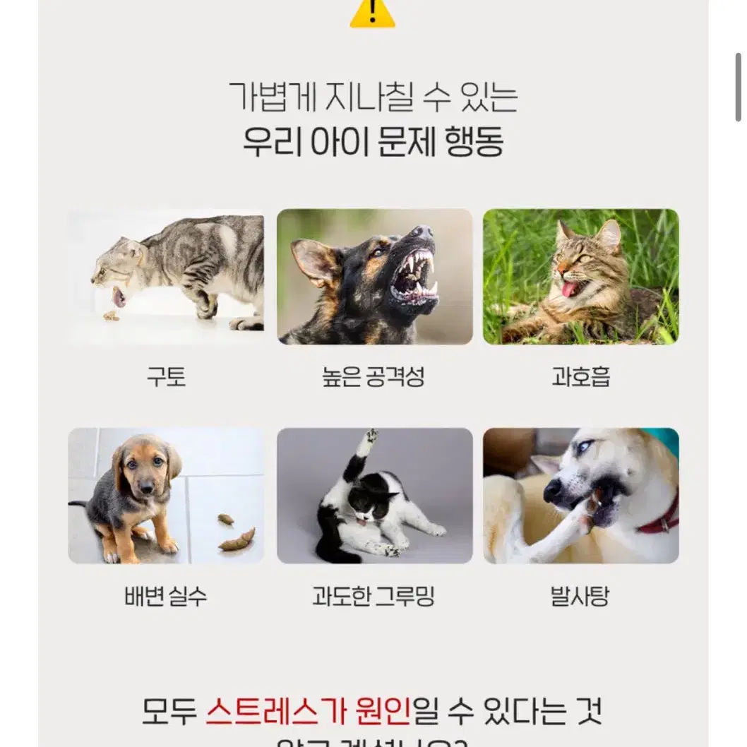 2개가격/페스룸 스트레스레머디 강아지고양이 스트레스면역 장 영야제