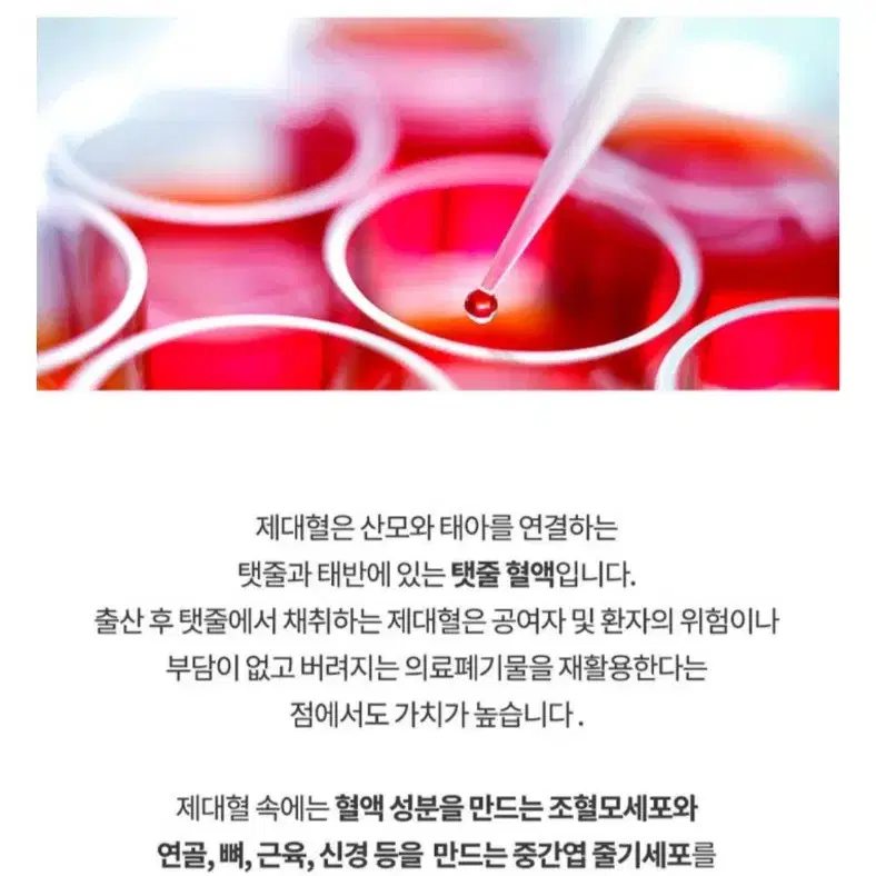 닥터브린셀 스템셀 골드크림