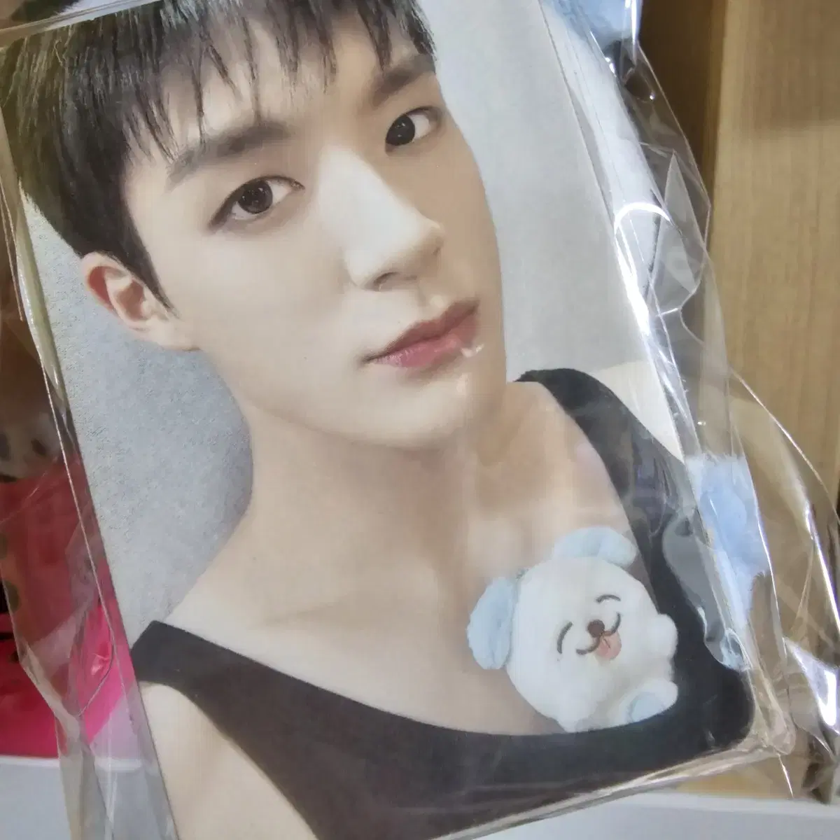 NCT Dream jeno doll Mengyi Photocard