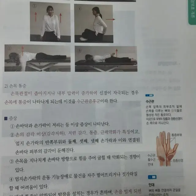 의료건강서적용