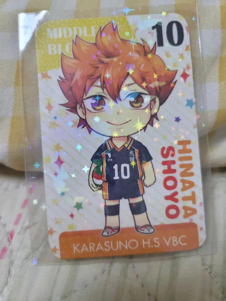 Haikyuu hinata Shoyo Photo Card