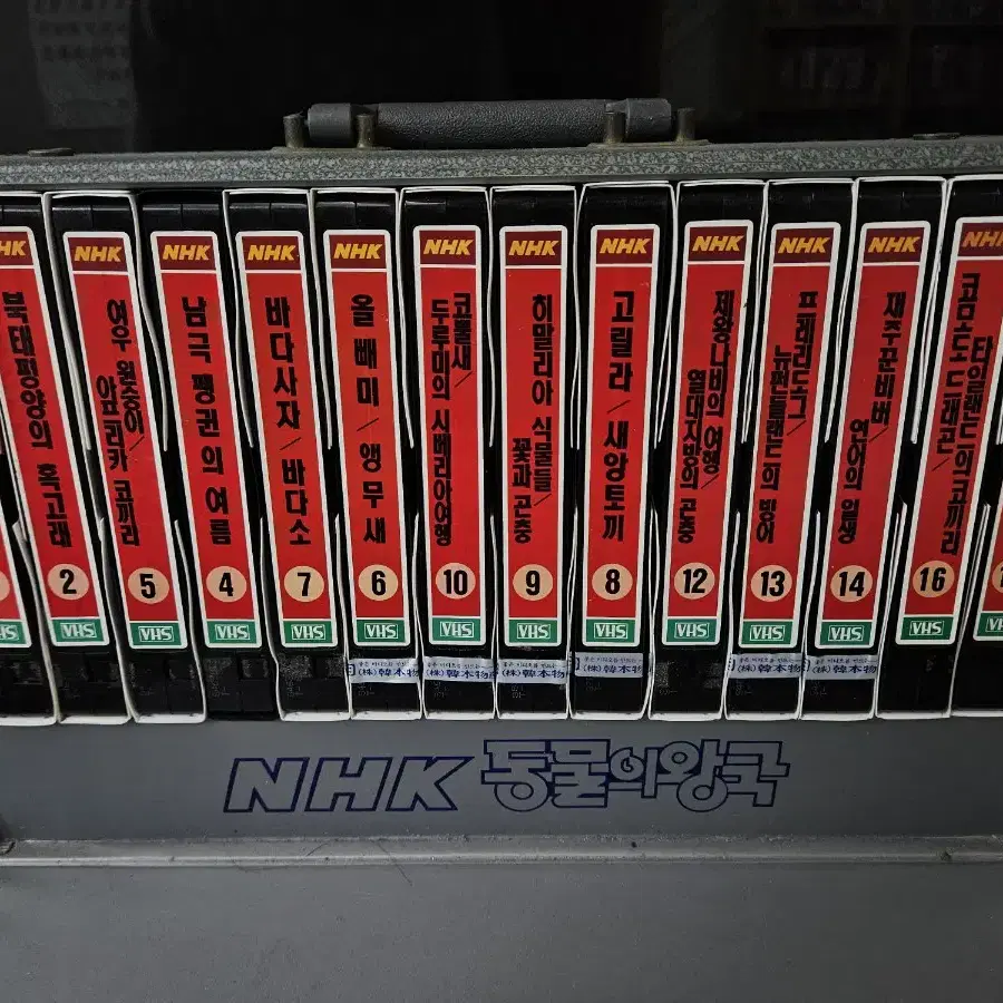 NHK 93엑스포 동물의왕국 셋트 VHS 비디오