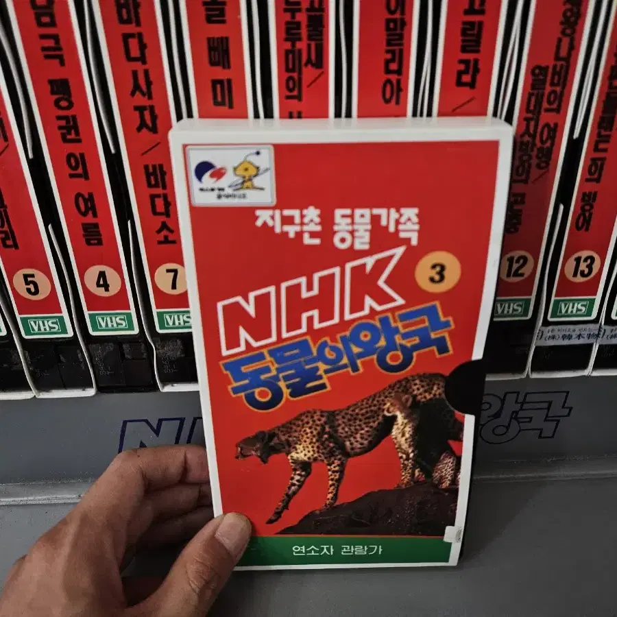 NHK 93엑스포 동물의왕국 셋트 VHS 비디오