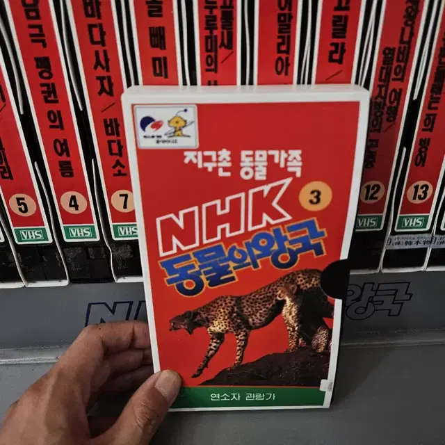 NHK 93엑스포 동물의왕국 셋트 VHS 비디오