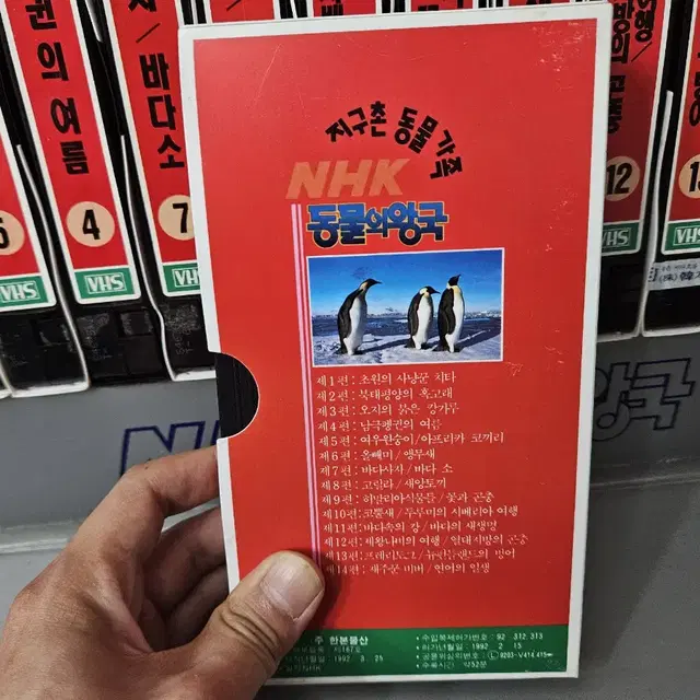 NHK 93엑스포 동물의왕국 셋트 VHS 비디오