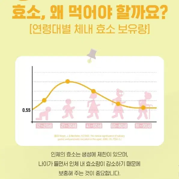 곡물효소 유산균 프로바이오틱스 든든50만 2g x 50포