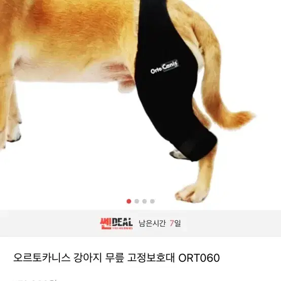 오르토카니스 강아지 슬개골보호대 ort060