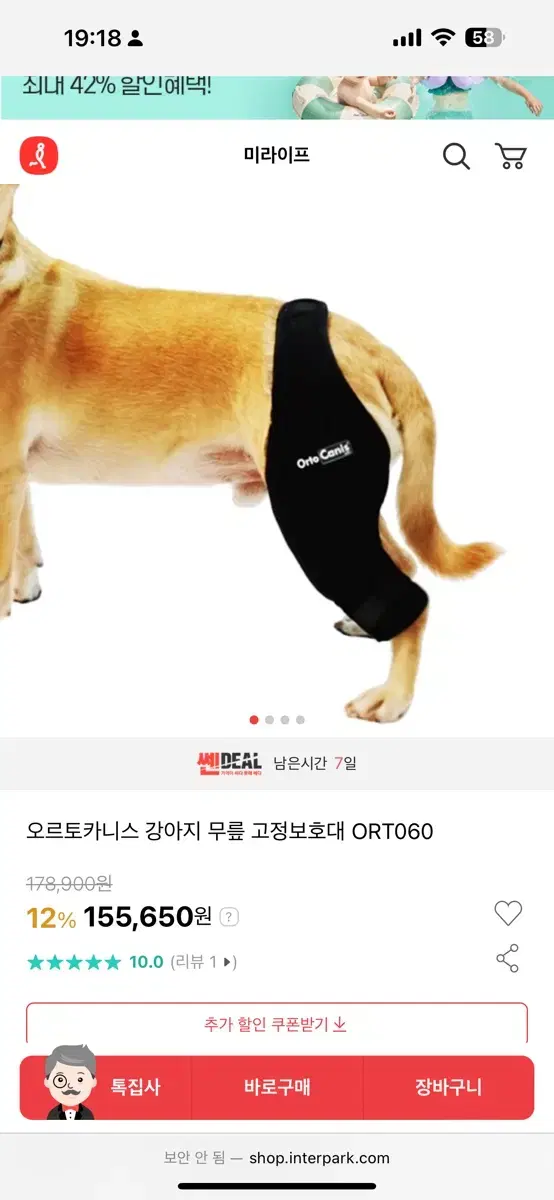 오르토카니스 강아지 슬개골보호대 ort060