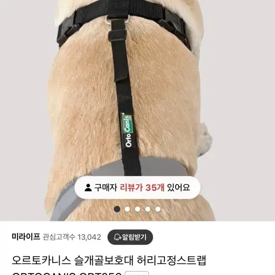 오르토카니스 강아지 허리고정스트랩