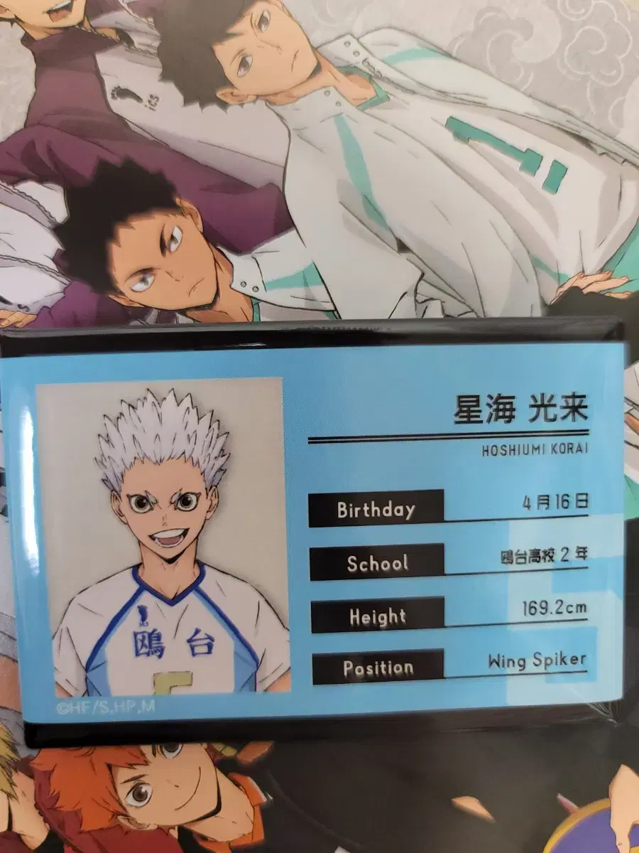 Haikyuu pop up Hoshiumi Profile Canvas