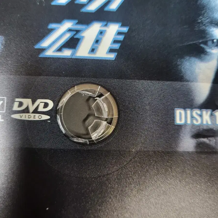 쌍응dvd