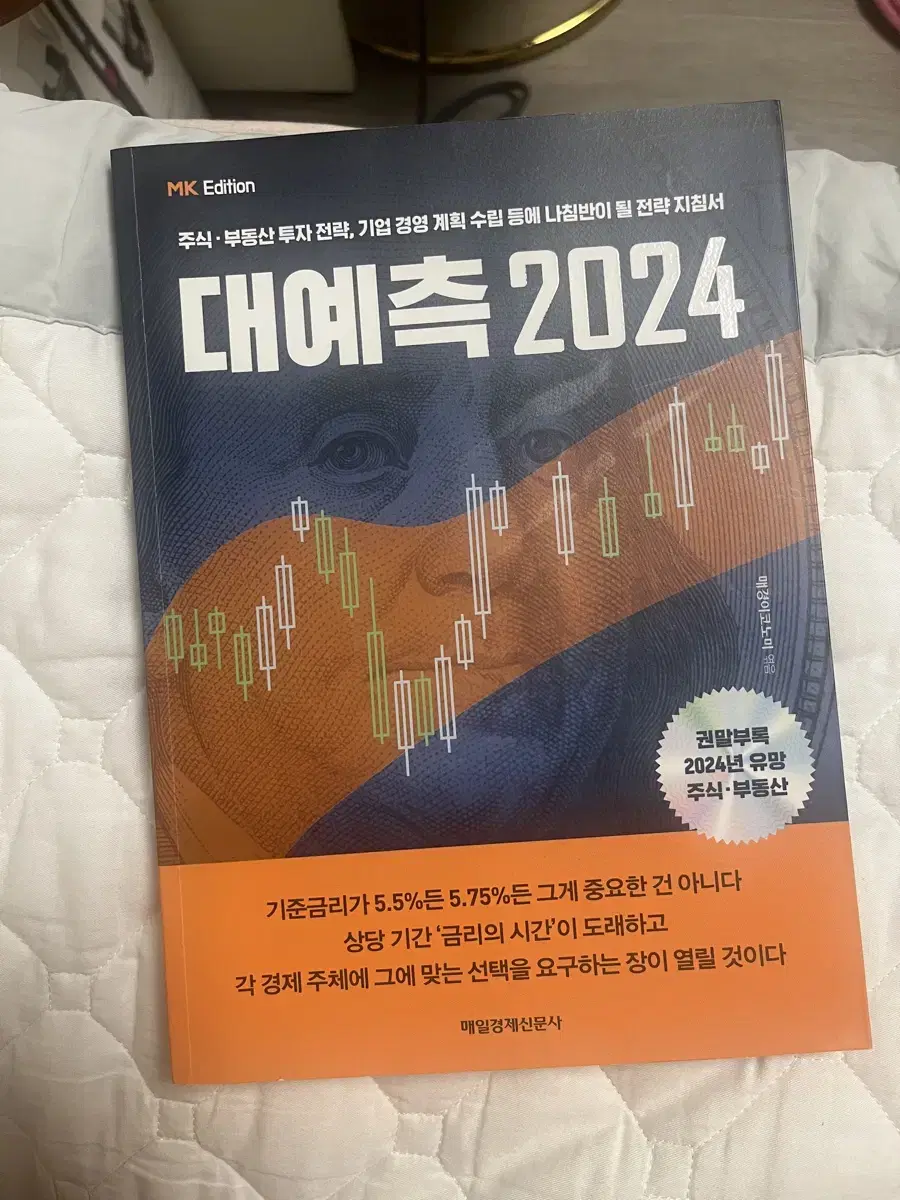 (도서) 대예측 2024