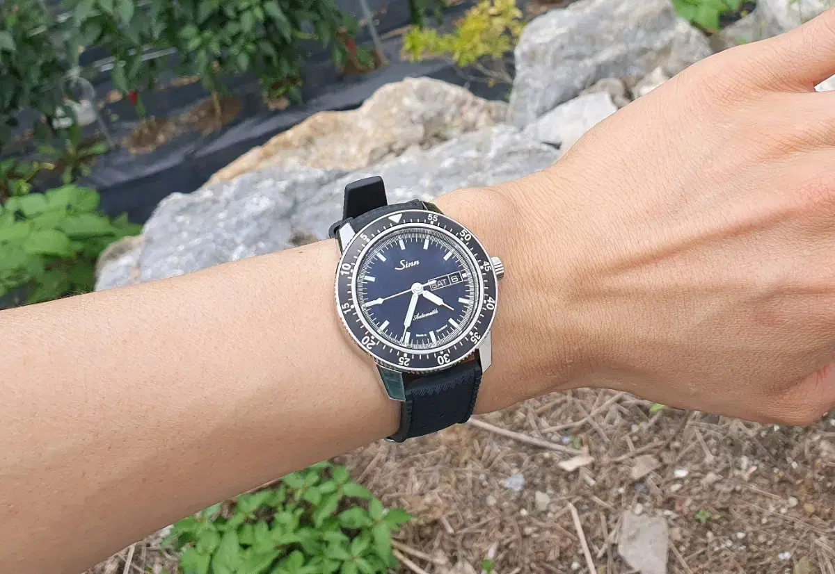 sinn 104 st 다이버 코스코 풀셋