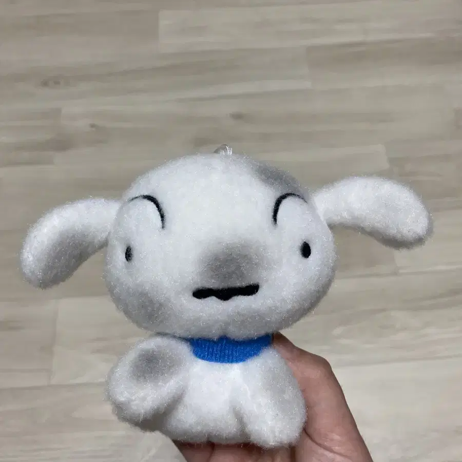 탄광마을 흰둥이