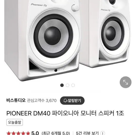 Pioneer dm-40