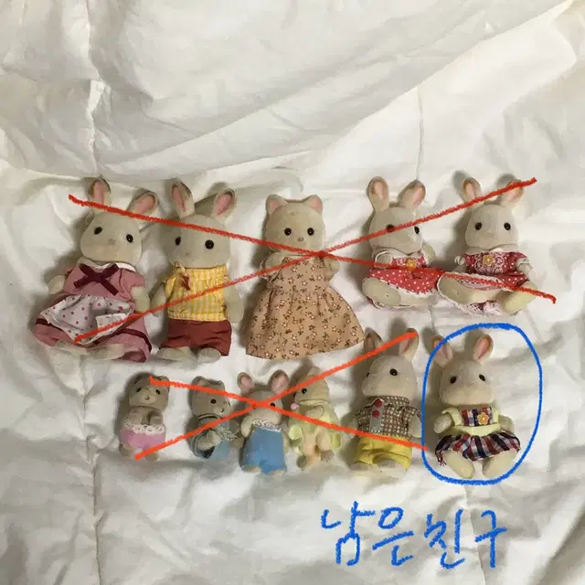 실바니안 피규어 가족 아기 고양이