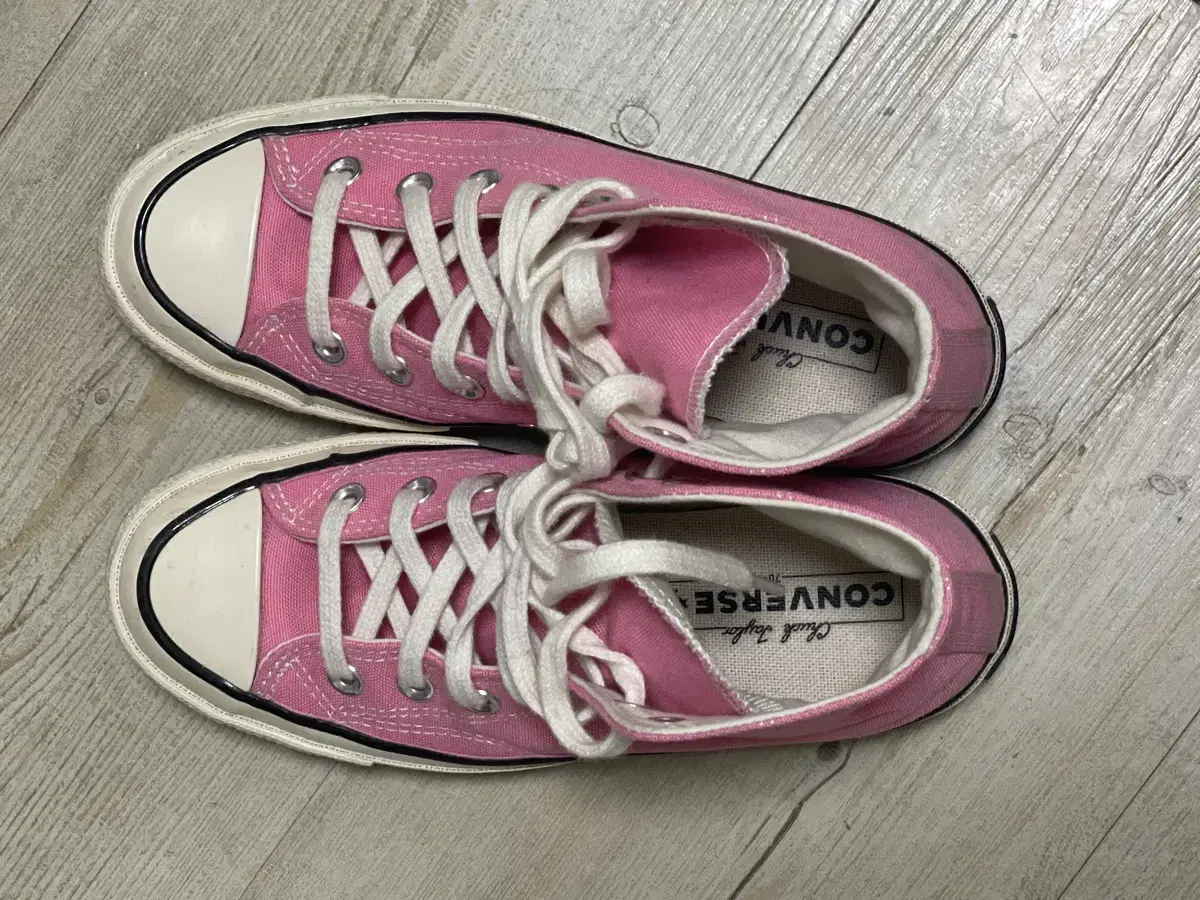 Converse Chuck 70 High Pink CanvasPink 225