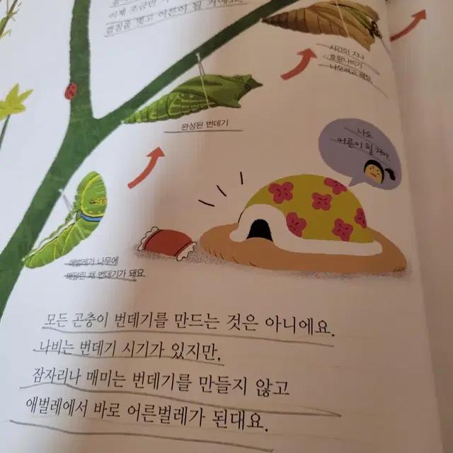 그레이트북스 생활 속 원리과학 최신개정판 세트