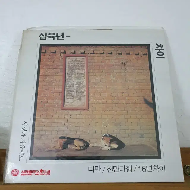 미개봉  16년차이 LP 1990  조동익.최성원.허성욱.주찬권.장필순.